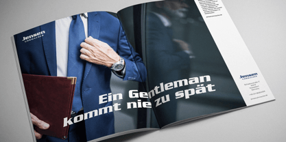 Serpentine Font Poster 2